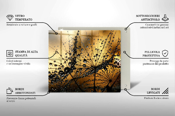 Osłona ściany przy kuchence gazowej Rosa i dmuchawce