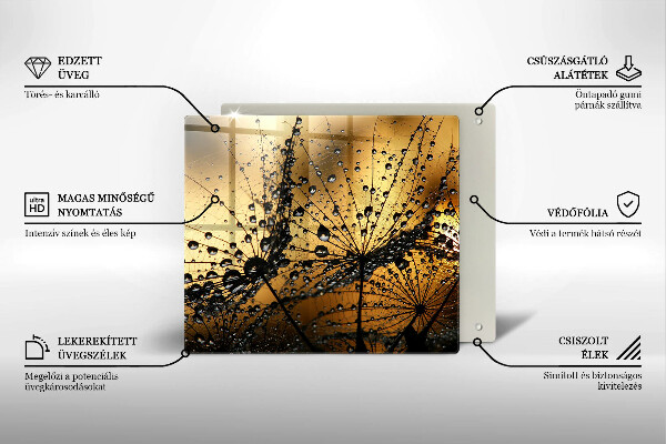 Osłona ściany przy kuchence gazowej Rosa i dmuchawce