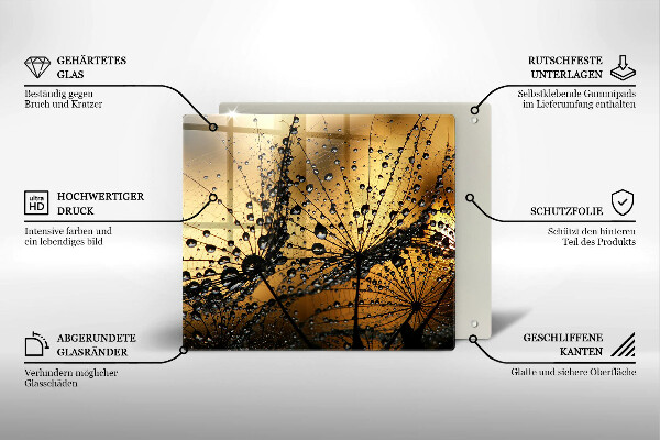 Osłona ściany przy kuchence gazowej Rosa i dmuchawce