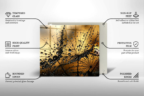 Osłona ściany przy kuchence gazowej Rosa i dmuchawce