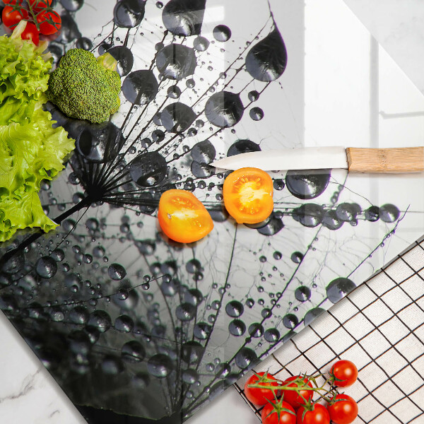 Osłona ściany przy kuchence gazowej Dmuchawce i rosa