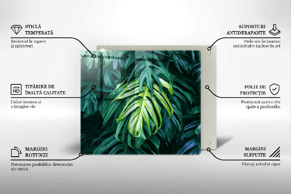 Osłona ściany przy kuchence gazowej Dzikie liście monstery