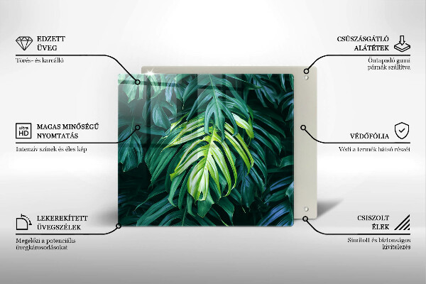 Osłona ściany przy kuchence gazowej Dzikie liście monstery