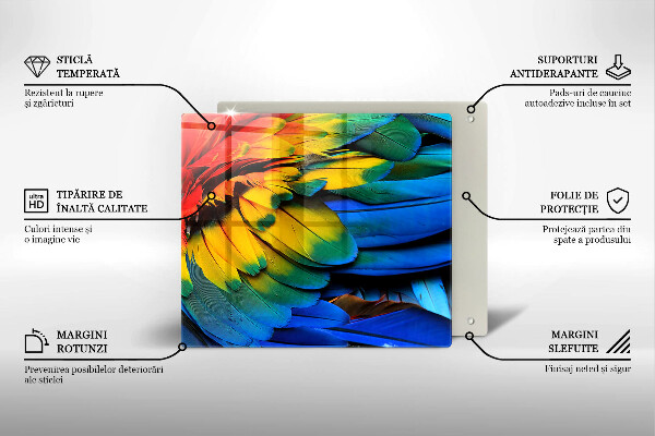 Osłona ściany przy kuchence gazowej Barwne pióra papugi