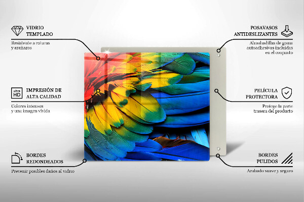 Osłona ściany przy kuchence gazowej Barwne pióra papugi