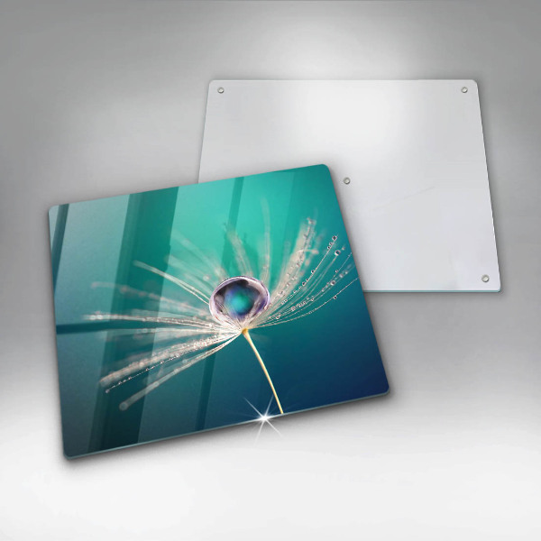 Osłona ściany przy kuchence gazowej Rosa na dmuchawcu