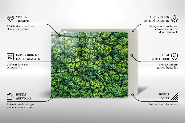 Osłona ściany przy kuchence gazowej Natura rośliny mech