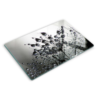 Osłona na płytę indukcyjną Dmuchawce i rosa