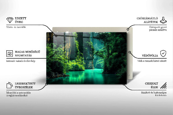 Osłona na płytę indukcyjną Pejzaż laguna