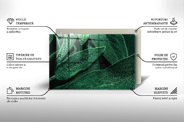 Płyta ochronna na indukcję Liście rośliny