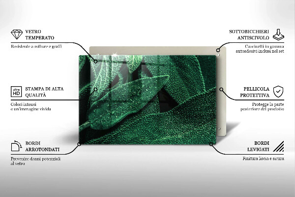 Płyta ochronna na indukcję Liście rośliny