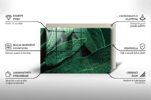 Płyta ochronna na indukcję Liście rośliny
