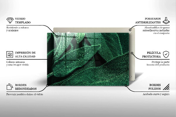 Płyta ochronna na indukcję Liście rośliny