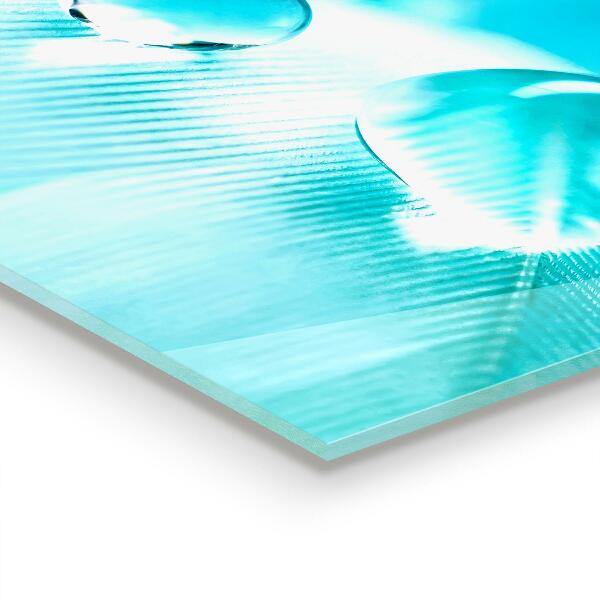 Panel szklany do kuchni Rosa na Delikatnym Piórze