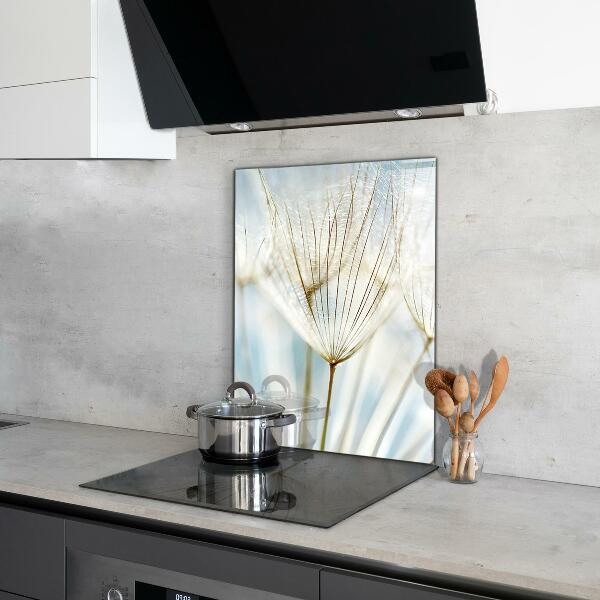 Szklany panel do kuchni Mniszek Dmuchawiec na Wietrze