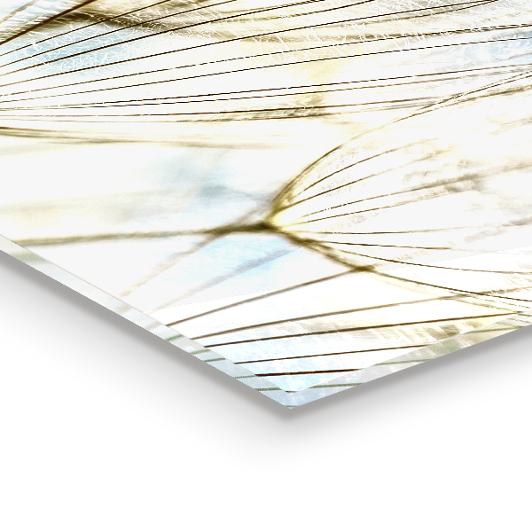 Szklany panel do kuchni Mniszek Dmuchawiec na Wietrze