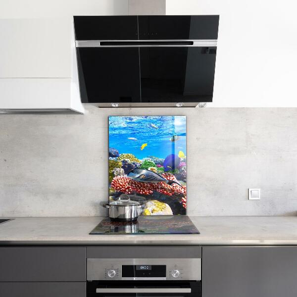 Panel szklany do kuchni Rafa Koralowa Morze Czerwone