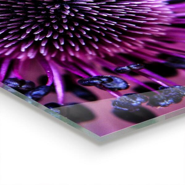 Panel szklany do kuchni Fioletowy kwiat