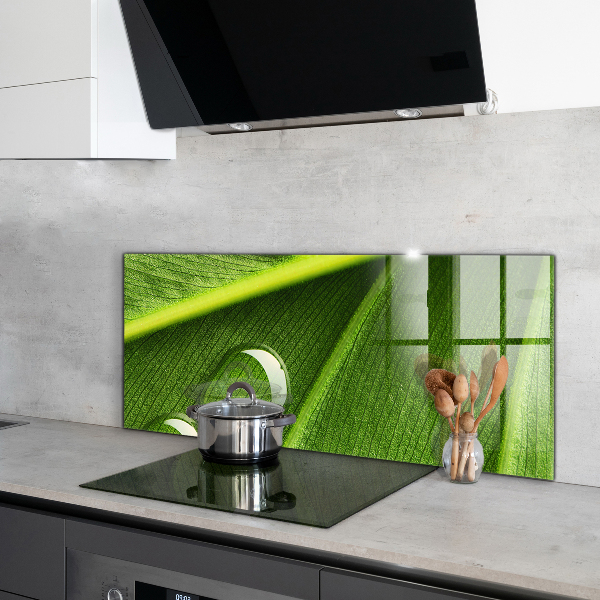 Panel szklany do kuchni Kropla Rosy na Liściu