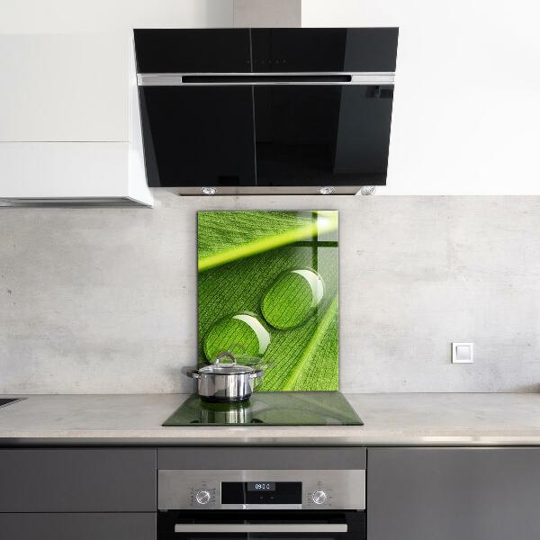 Panel szklany do kuchni Kropla Rosy na Liściu