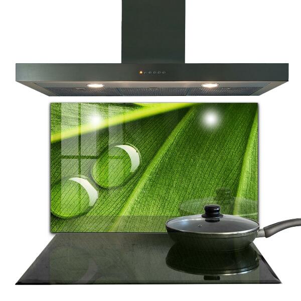 Panel szklany do kuchni Kropla Rosy na Liściu