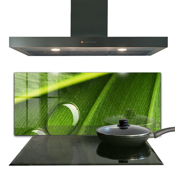 Panel szklany do kuchni Kropla Rosy na Liściu