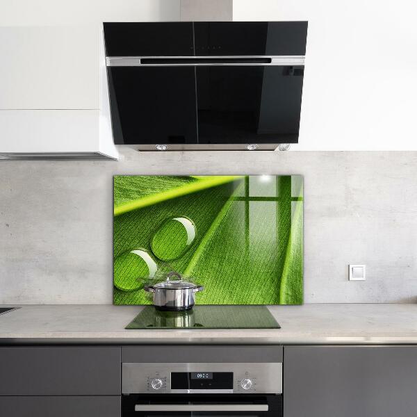 Panel szklany do kuchni Kropla Rosy na Liściu