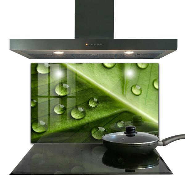 Szklany panel do kuchni Liść z Kroplami Porannej Rosy