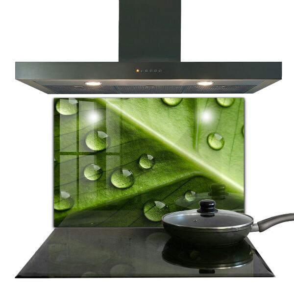 Szklany panel do kuchni Liść z Kroplami Porannej Rosy