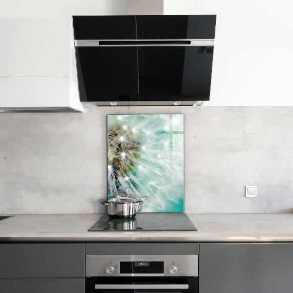 Szklany panel do kuchni Dmuchawiec na Wietrze Roślina