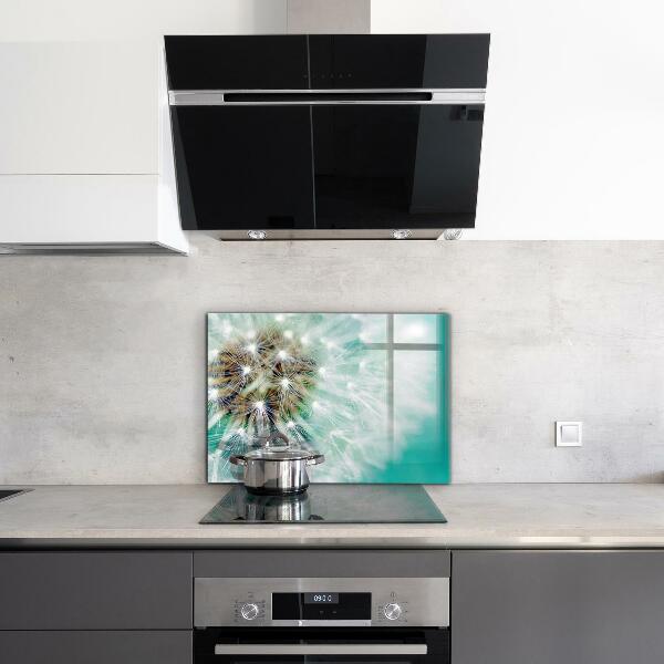 Szklany panel do kuchni Dmuchawiec na Wietrze Roślina