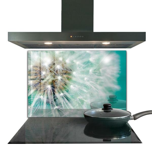 Szklany panel do kuchni Dmuchawiec na Wietrze Roślina