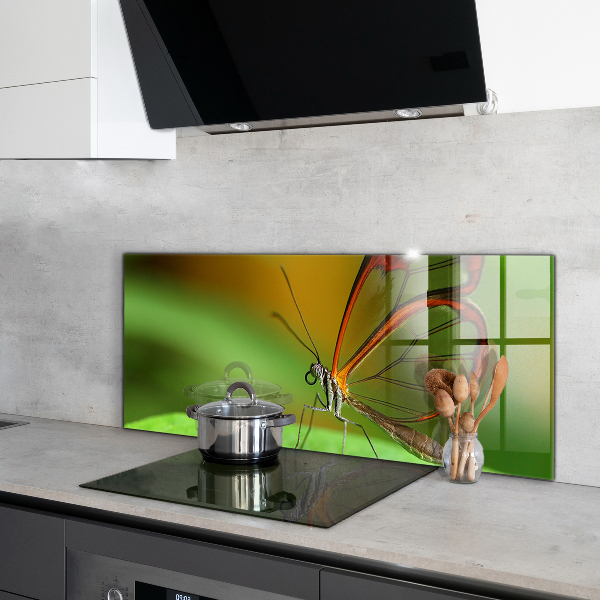 Panel szklany do kuchni Motyl na Liściu