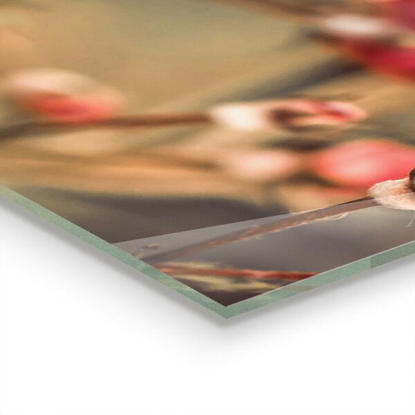 Szklany panel do kuchni Dzika Róża w Parku