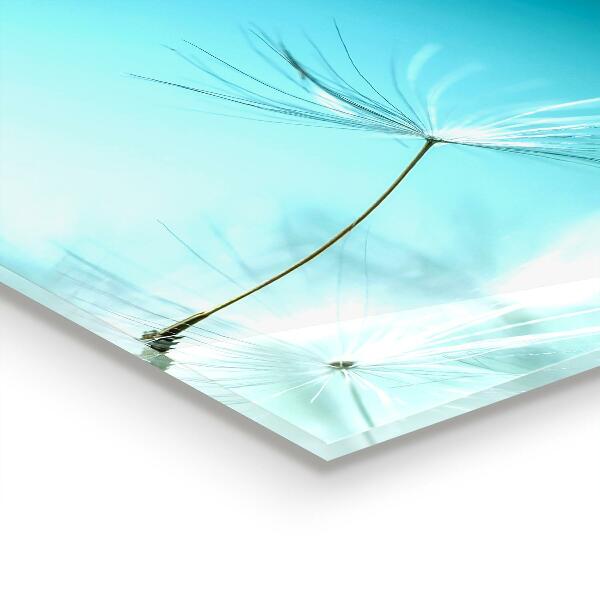 Panel szklany do kuchni Mniszek Dmuchawiec na Wietrze