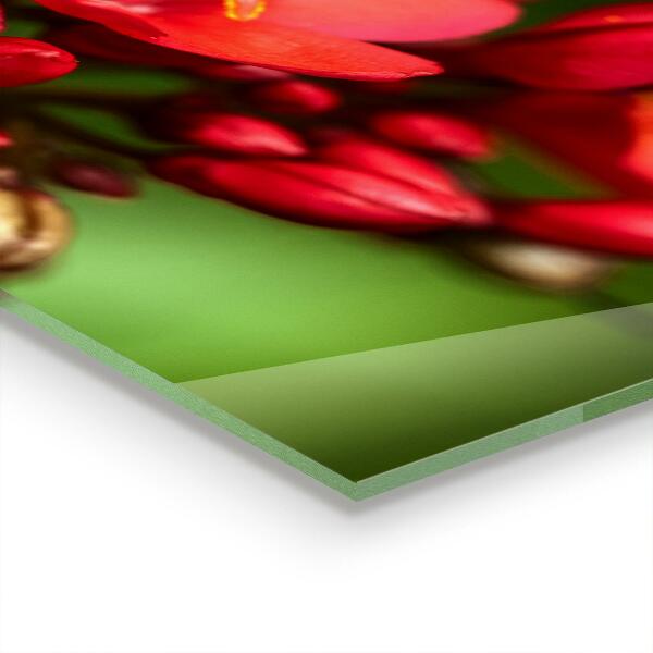 Panel szklany do kuchni Rozkwitające Pąki Kwiatów