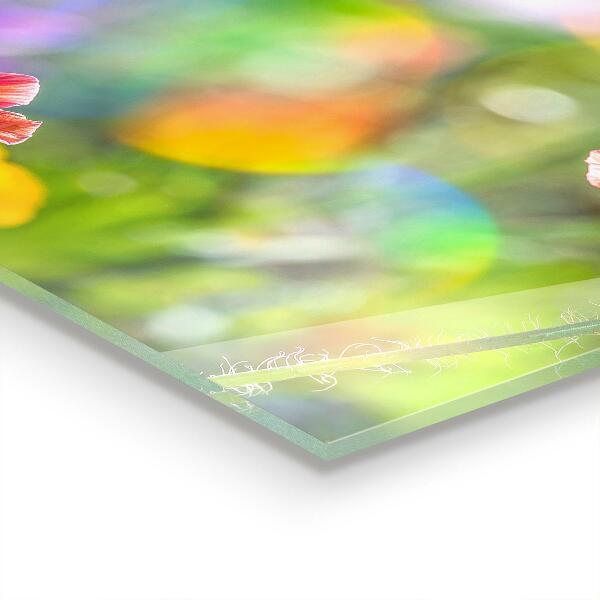 Panel szklany do kuchni Letnia Łąka Maki