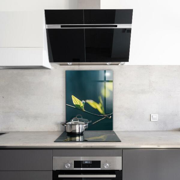 Panel szklany do kuchni Błyszczący Liść na Gałęzi