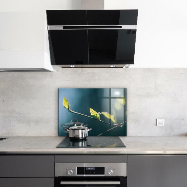 Panel szklany do kuchni Błyszczący Liść na Gałęzi