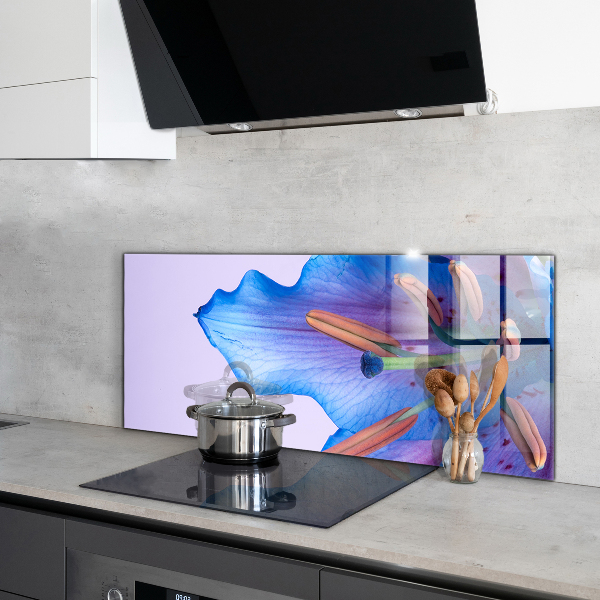 Panel szklany do kuchni Piękna Niebieska Lilia