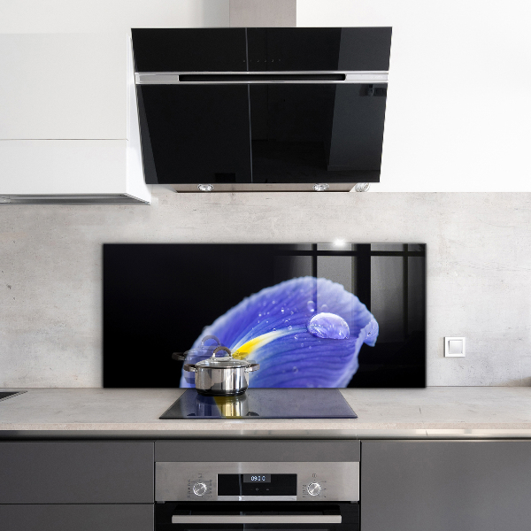 Panel szklany do kuchni Fioletowy Irys Kwiat