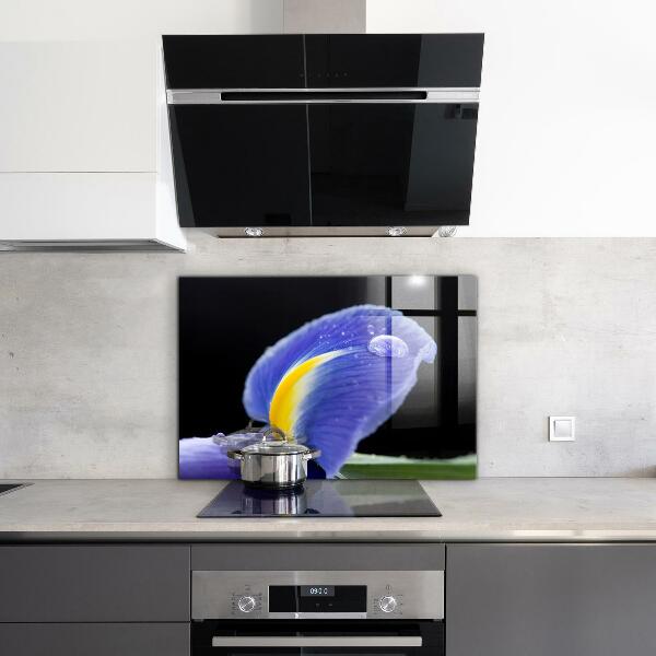 Panel szklany do kuchni Fioletowy Irys Kwiat