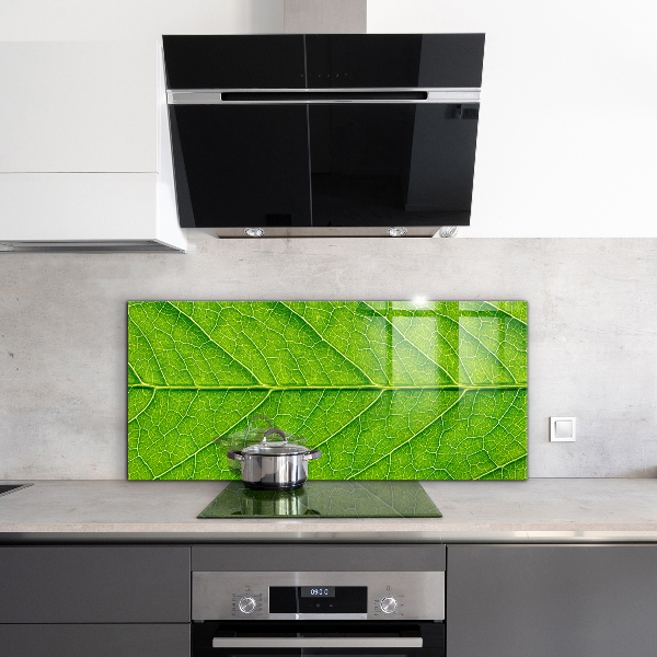 Lacobel do kuchni Detale Delikatnego Liścia