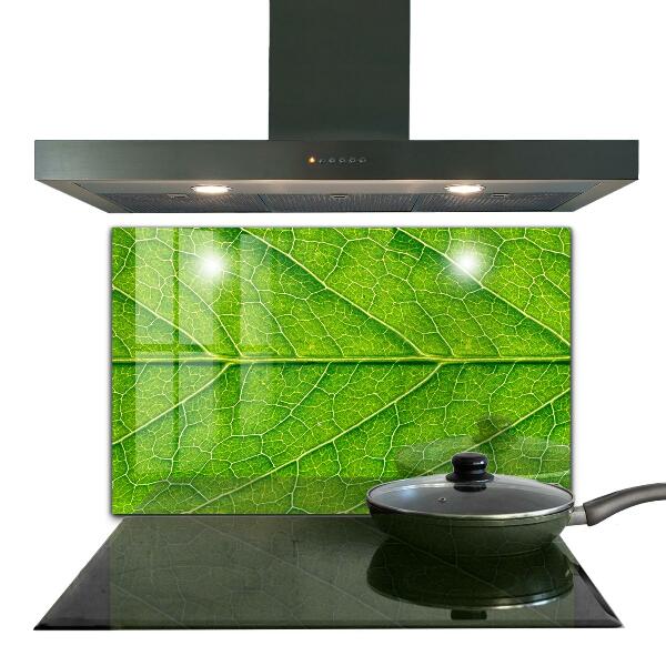 Lacobel do kuchni Detale Delikatnego Liścia