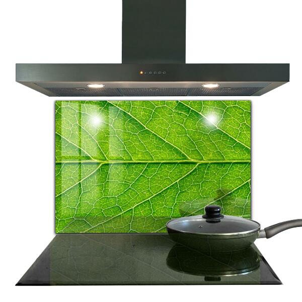 Lacobel do kuchni Detale Delikatnego Liścia