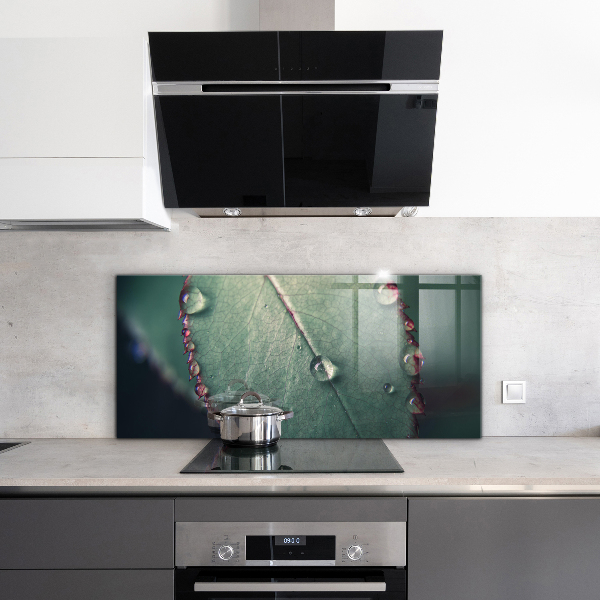 Lacobel do kuchni Liść z Kroplą Rosy