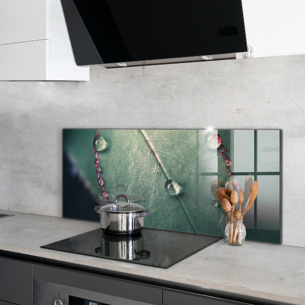 Lacobel do kuchni Liść z Kroplą Rosy