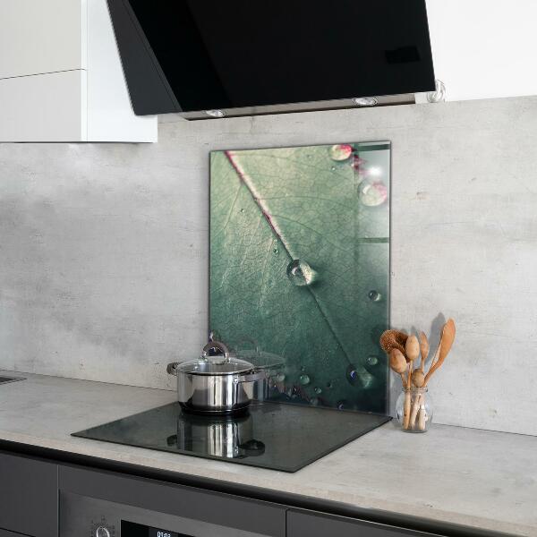 Lacobel do kuchni Liść z Kroplą Rosy