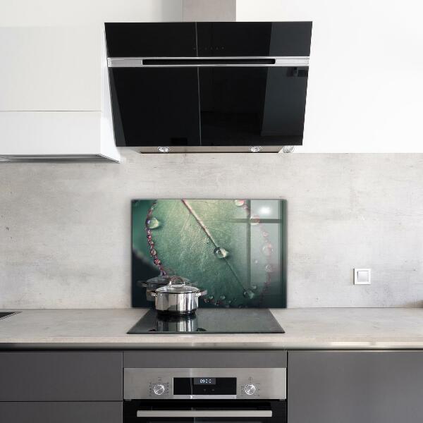 Lacobel do kuchni Liść z Kroplą Rosy