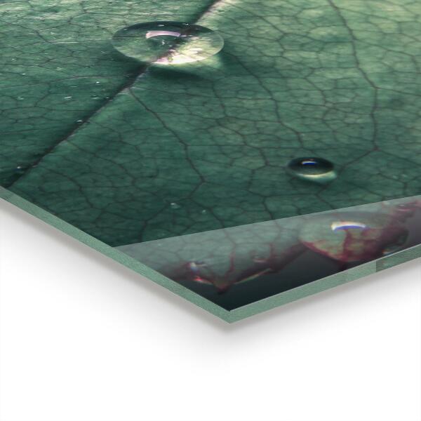 Lacobel do kuchni Liść z Kroplą Rosy